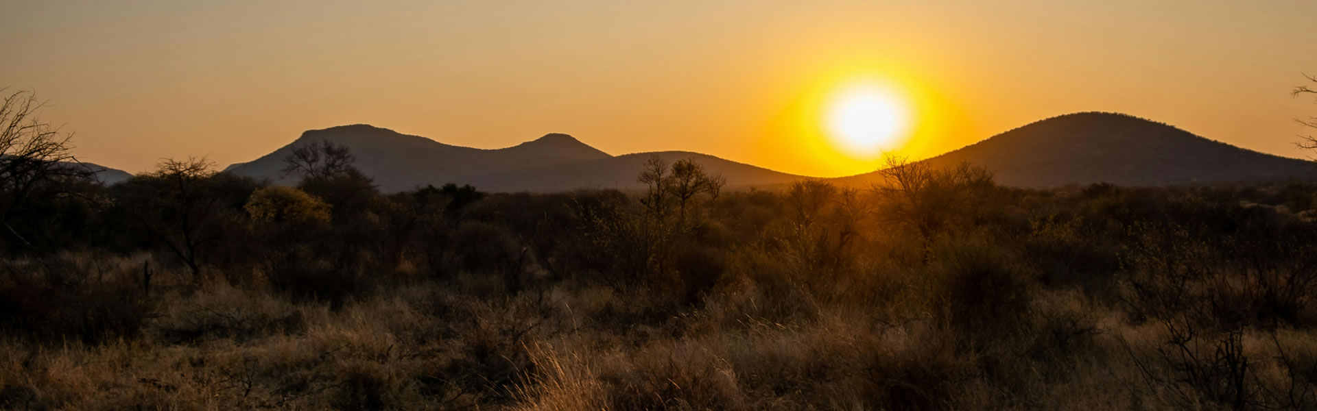 Game drive vehicle at sunset on Masai Mara plains Kenya safari